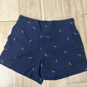 Abercrombie Men’s swim trunks